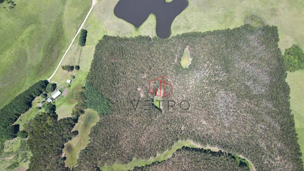 Sítio, 2 quartos, 30 hectares - Foto 11