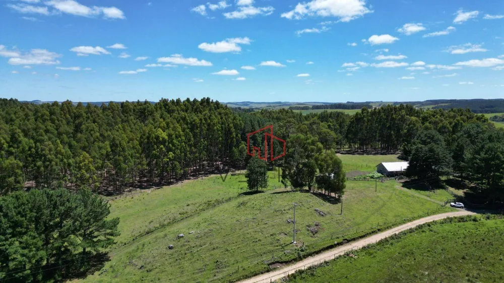 Sítio, 2 quartos, 30 hectares - Foto 1