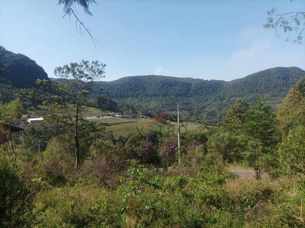Sítio, 4 quartos, 9000 m² - Foto 1