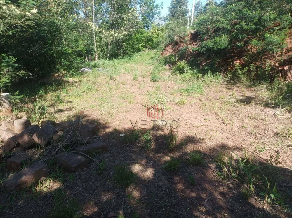 Sítio, 4 quartos, 9000 m² - Foto 2