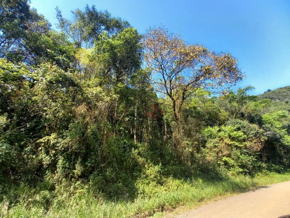 Terreno, 7700 m² - Foto 3