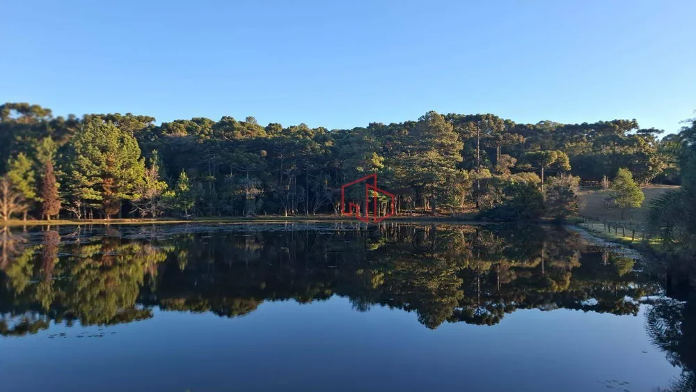 Sítio, 4 quartos, 6 hectares - Foto 4