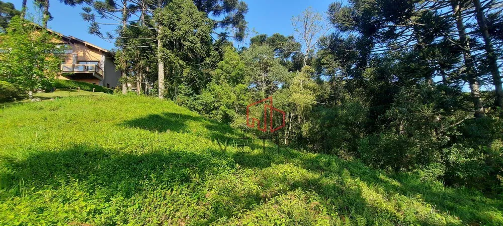 Loteamento e Condomínio, 825 m² - Foto 4
