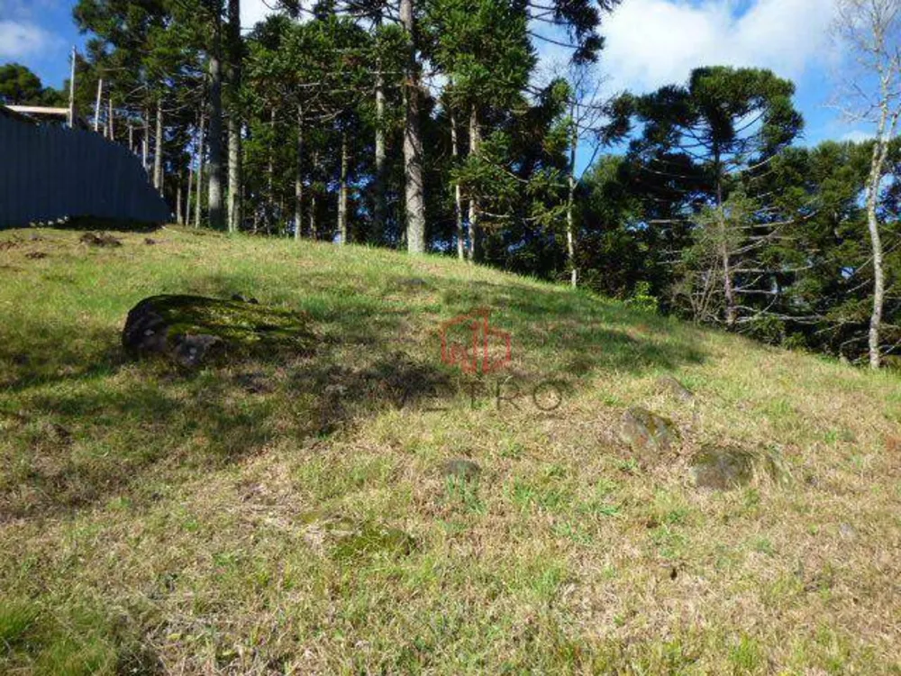 Loteamento e Condomínio, 825 m² - Foto 2