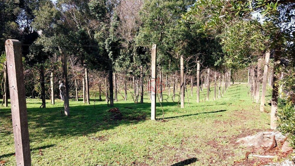 Terreno, 6024 m² - Foto 2