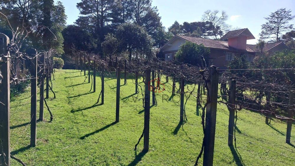 Terreno, 6024 m² - Foto 3