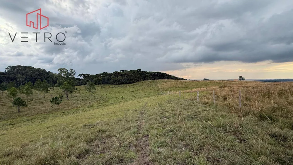 Sítio, 9 hectares - Foto 22