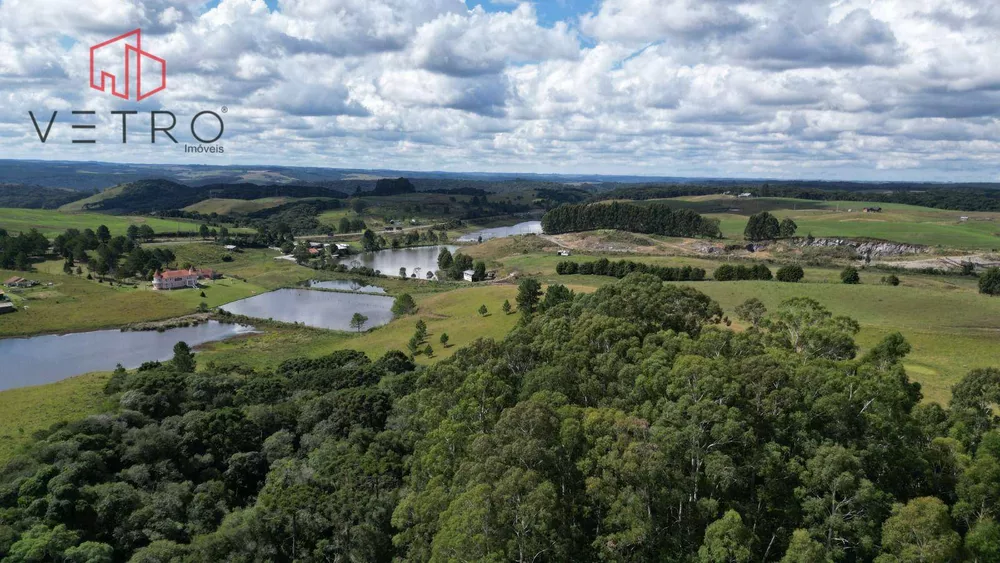 Sítio, 9 hectares - Foto 10