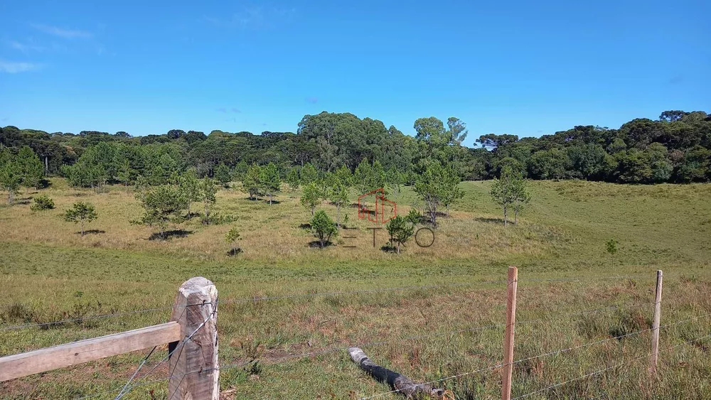 Sítio, 9 hectares - Foto 19