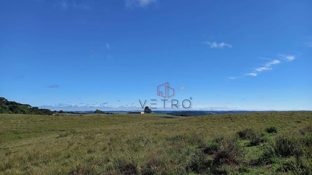 Sítio, 9 hectares - Foto 11