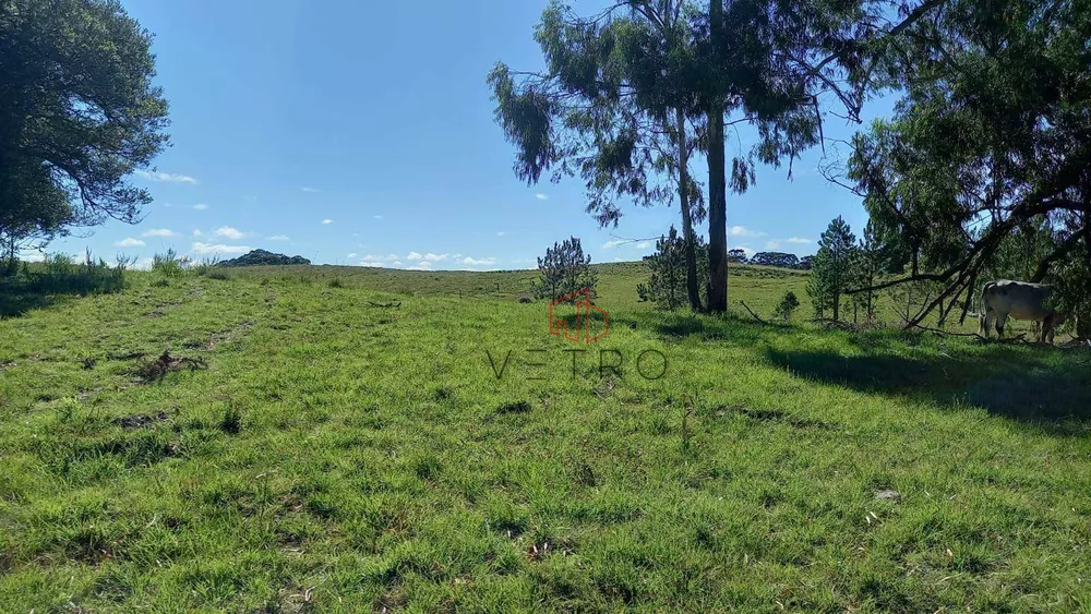 Sítio, 9 hectares - Foto 12