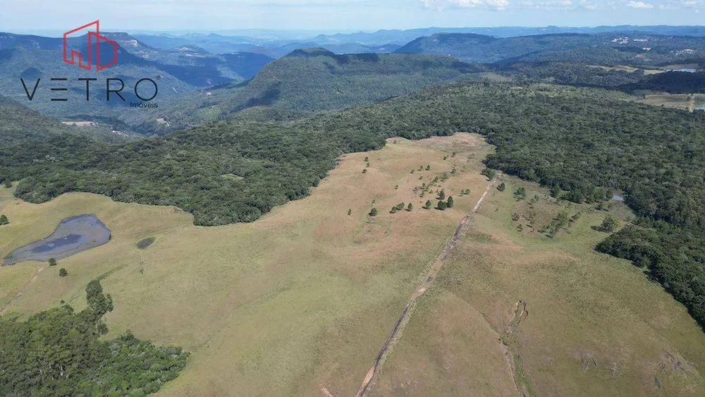 Sítio, 9 hectares - Foto 3