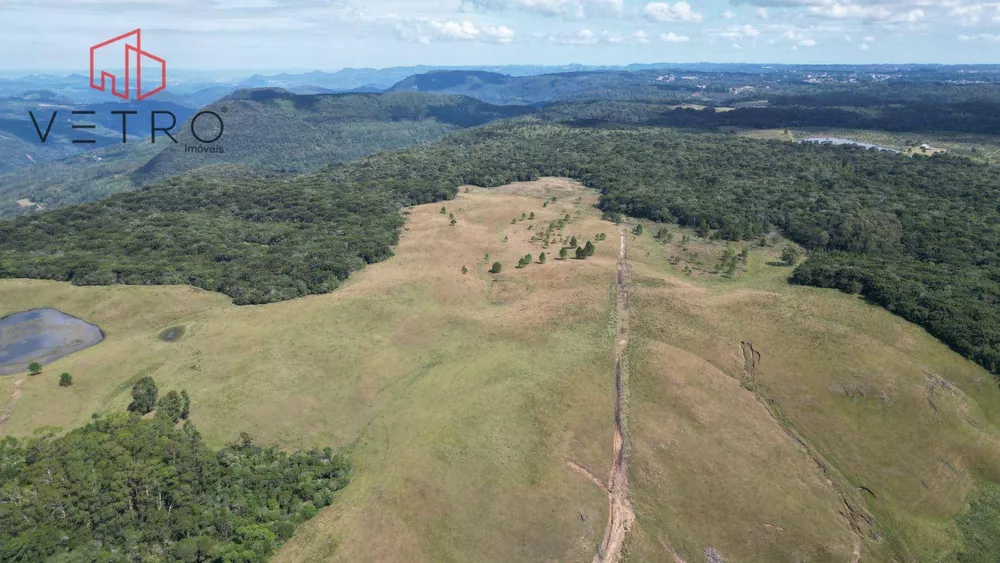 Sítio, 9 hectares - Foto 1