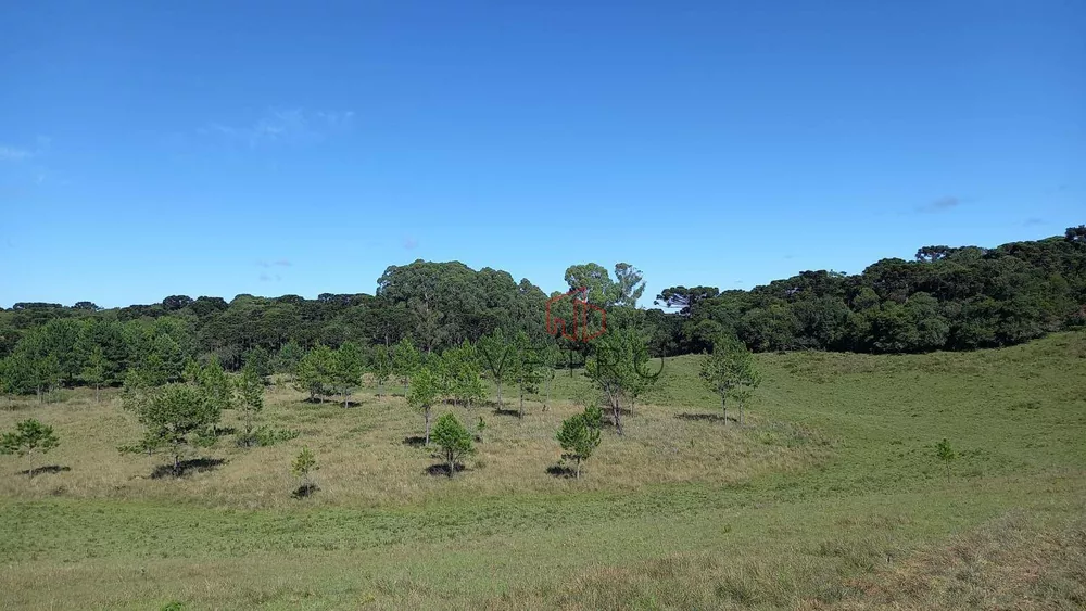 Sítio, 9 hectares - Foto 18