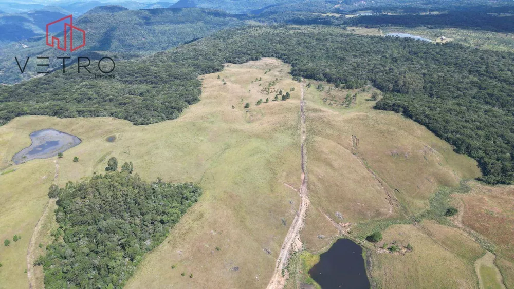 Sítio, 9 hectares - Foto 2