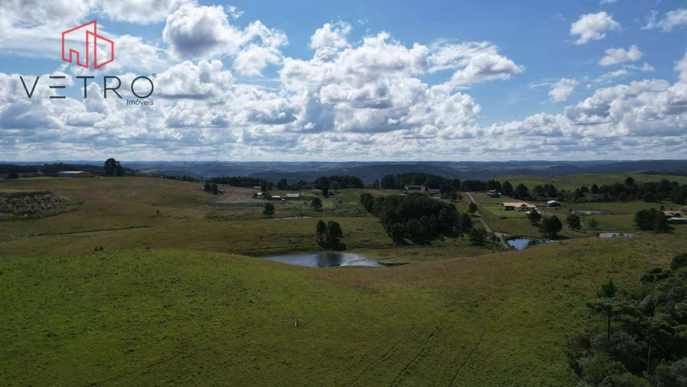 Sítio, 9 hectares - Foto 7