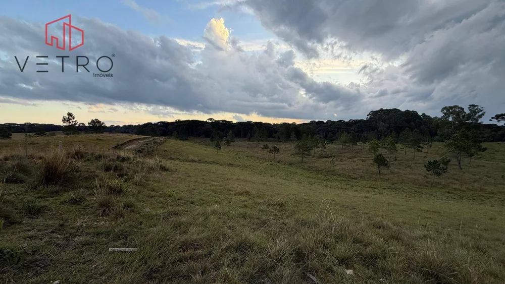 Sítio, 9 hectares - Foto 26