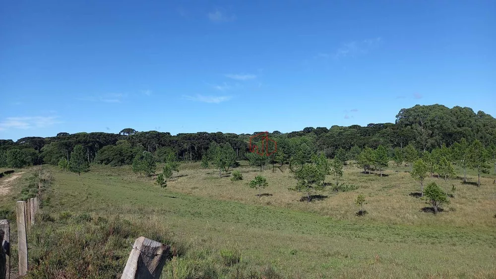 Sítio, 9 hectares - Foto 17