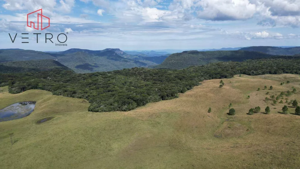 Sítio, 9 hectares - Foto 6