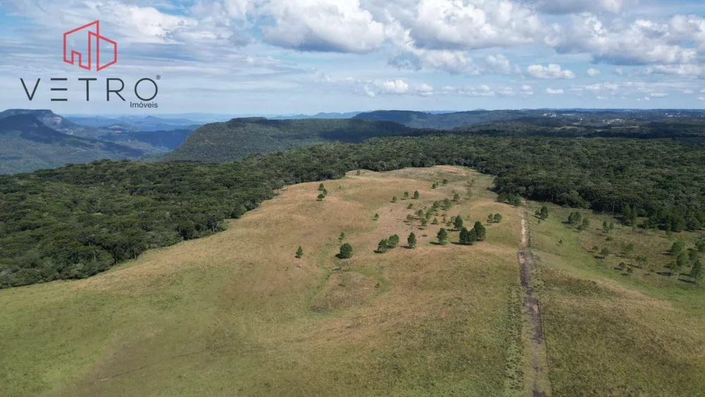 Sítio, 9 hectares - Foto 4