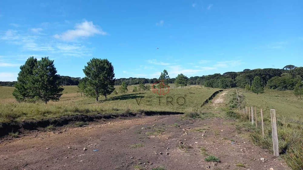 Sítio, 9 hectares - Foto 16