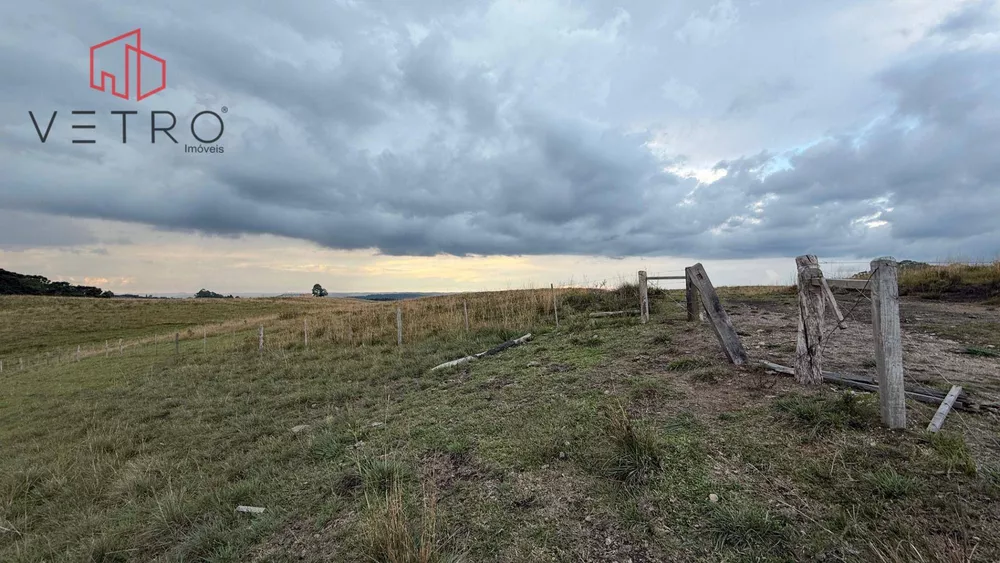 Sítio, 9 hectares - Foto 23