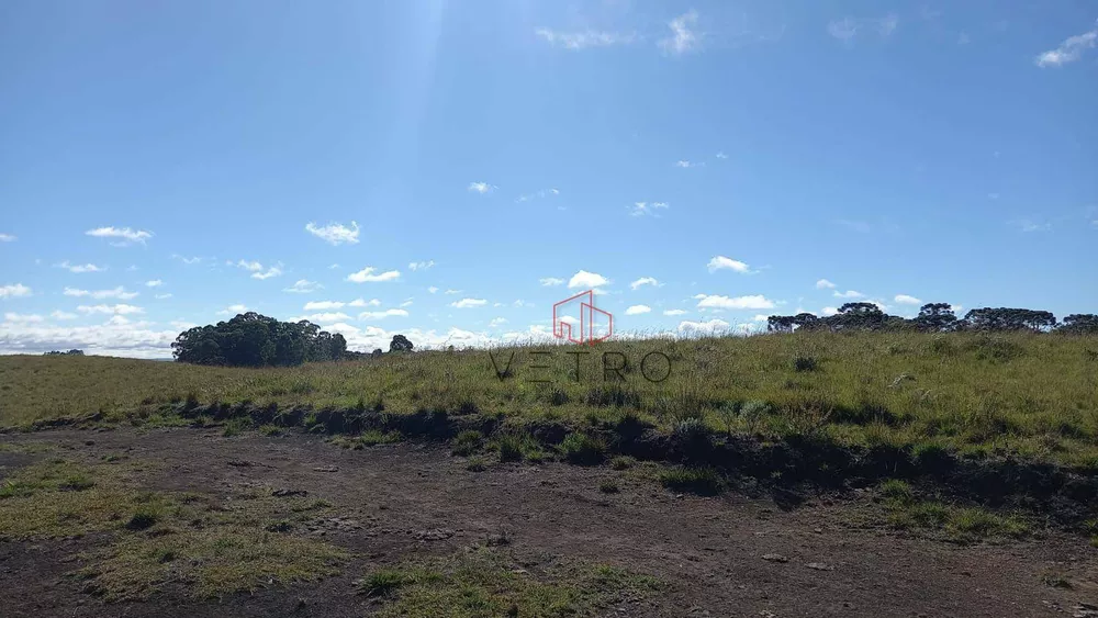 Sítio, 9 hectares - Foto 13