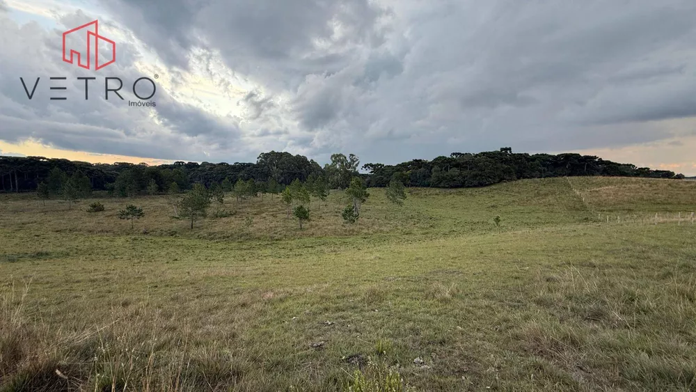 Sítio, 9 hectares - Foto 25