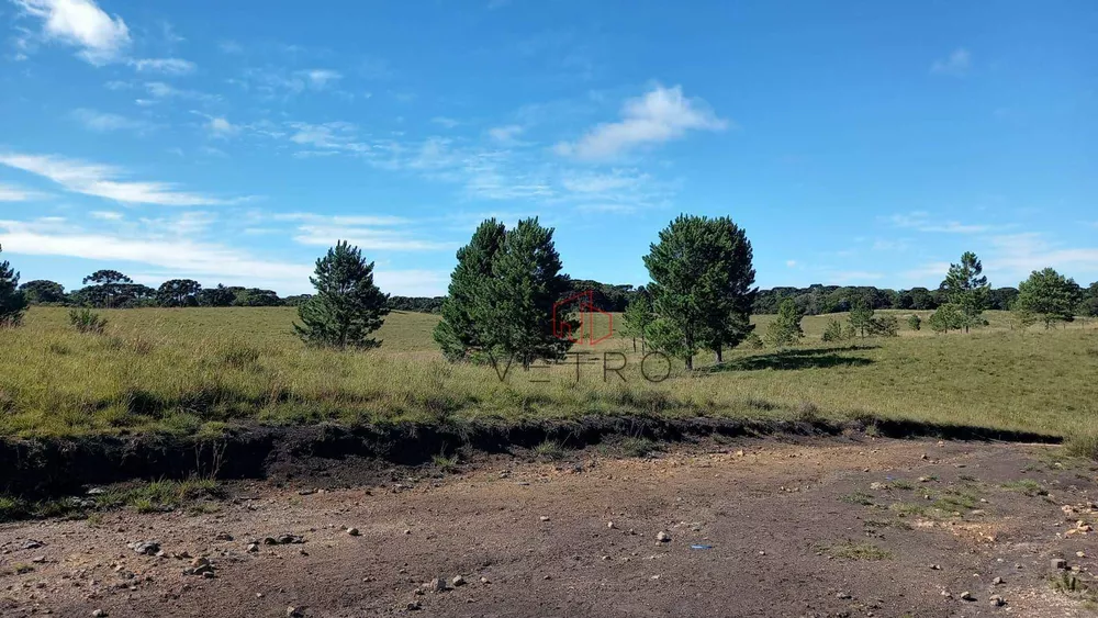 Sítio, 9 hectares - Foto 15