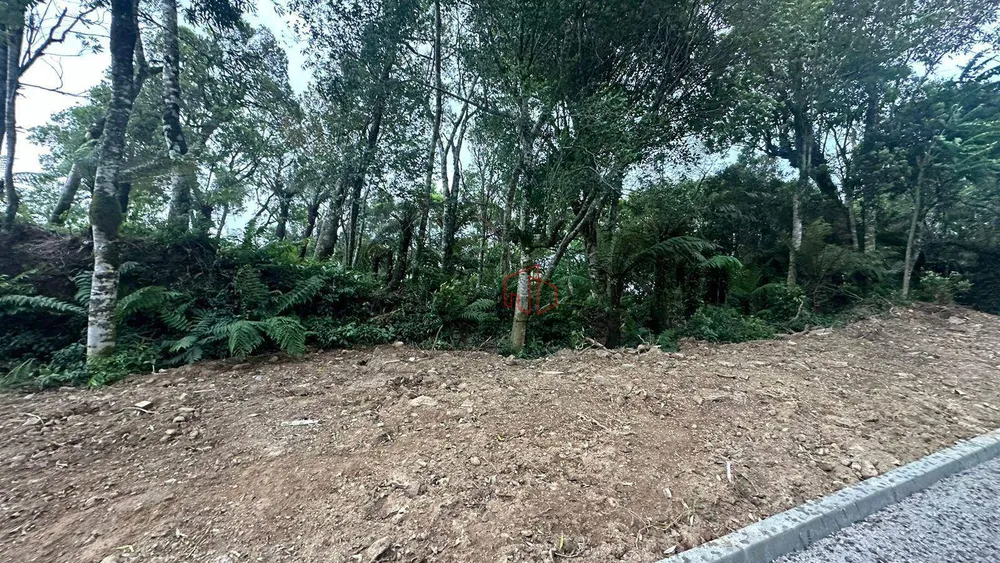Terreno, 921 m² - Foto 4
