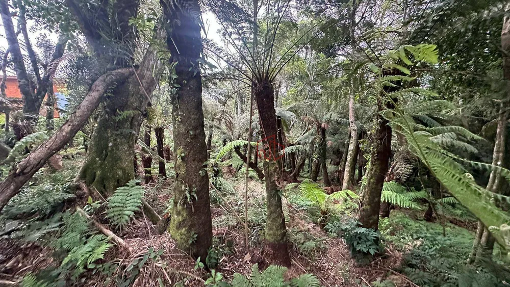 Terreno, 921 m² - Foto 5