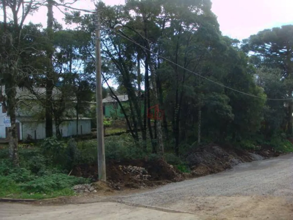 Terreno, 636 m² - Foto 2