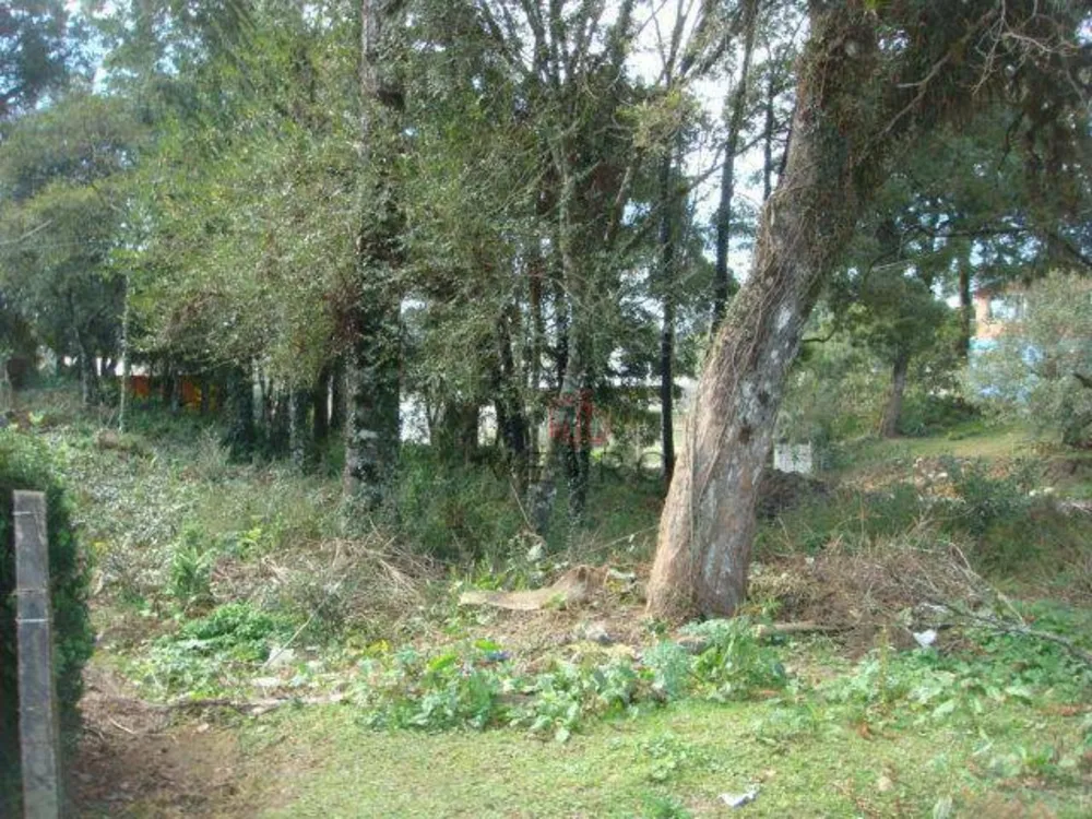 Terreno, 636 m² - Foto 1