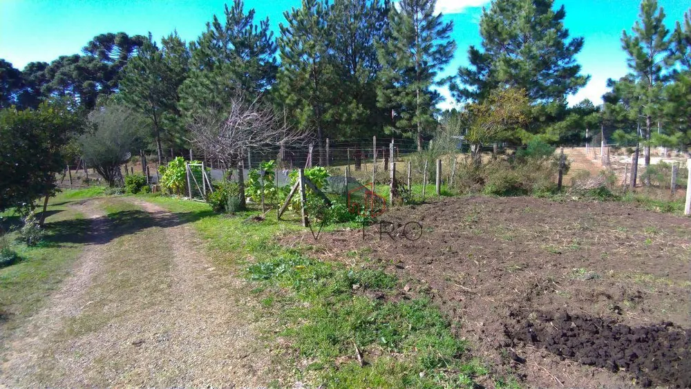Sítio, 2 quartos, 7 hectares - Foto 8