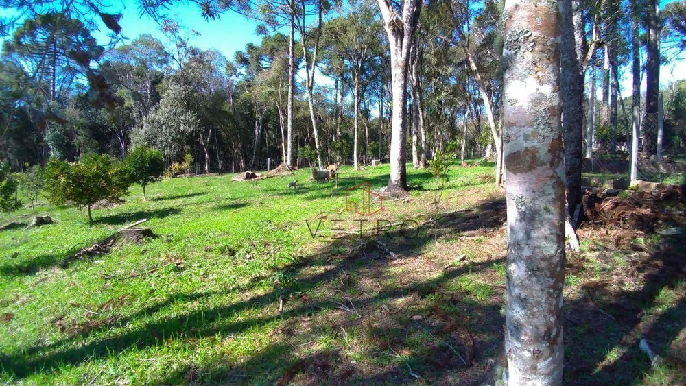 Sítio, 2 quartos, 7 hectares - Foto 4