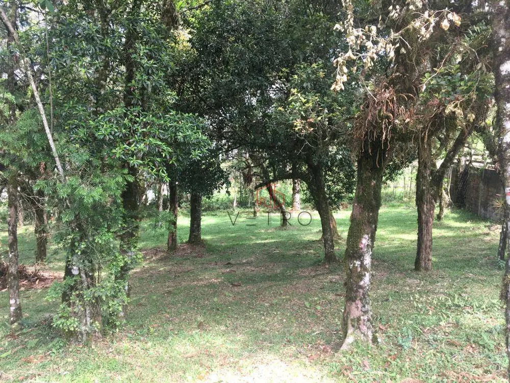 Loteamento e Condomínio, 707 m² - Foto 2