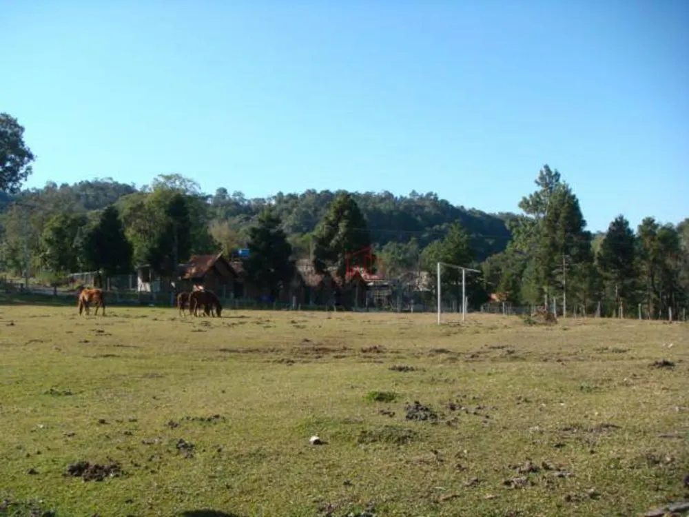 Sítio, 15 hectares - Foto 5