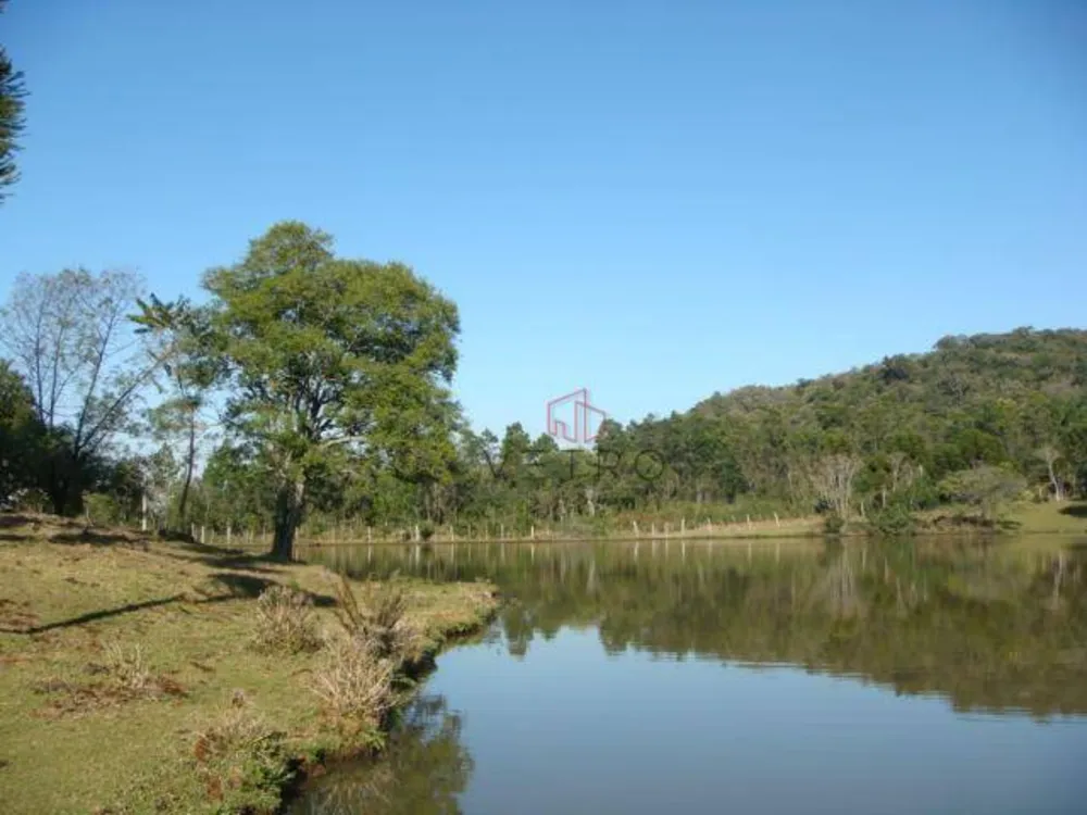Sítio, 15 hectares - Foto 10