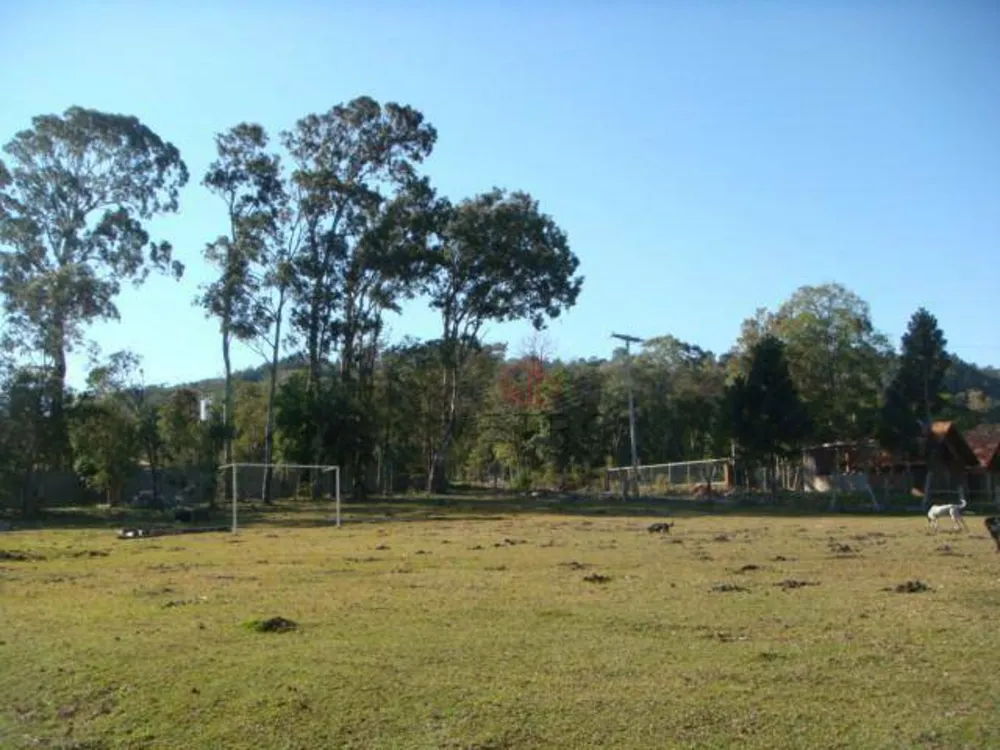 Sítio, 15 hectares - Foto 8