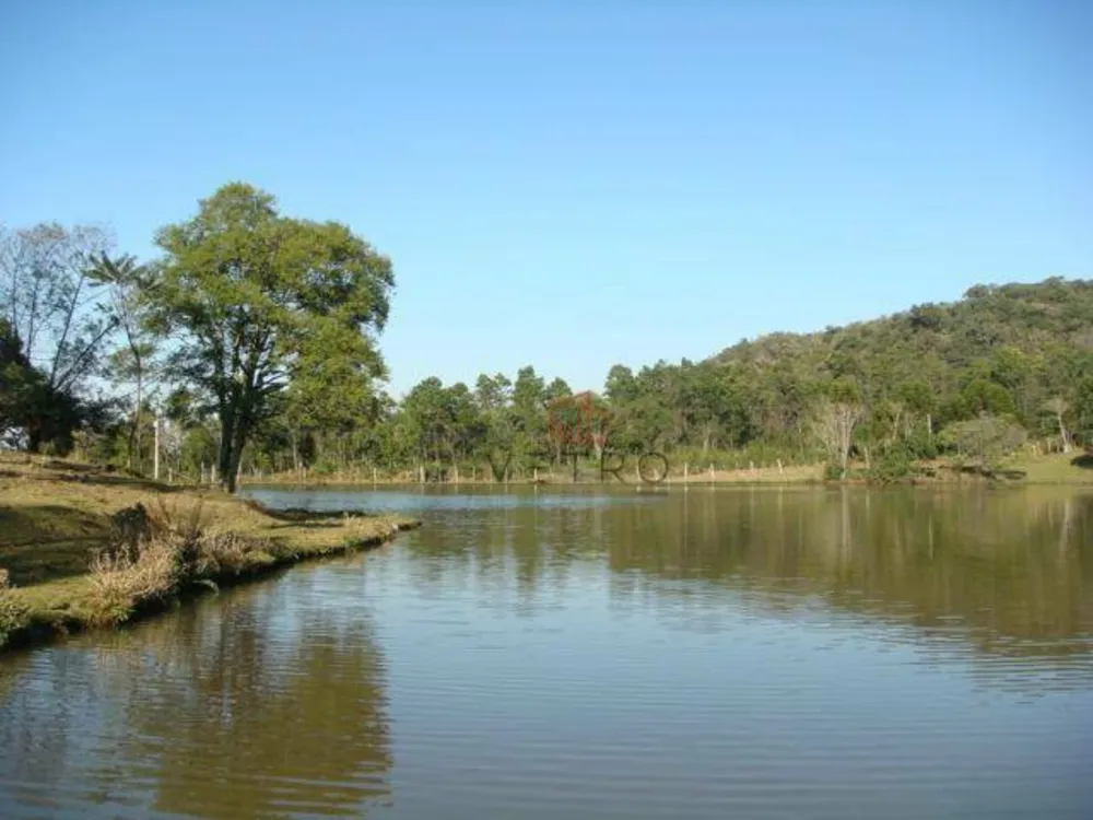 Sítio, 15 hectares - Foto 12