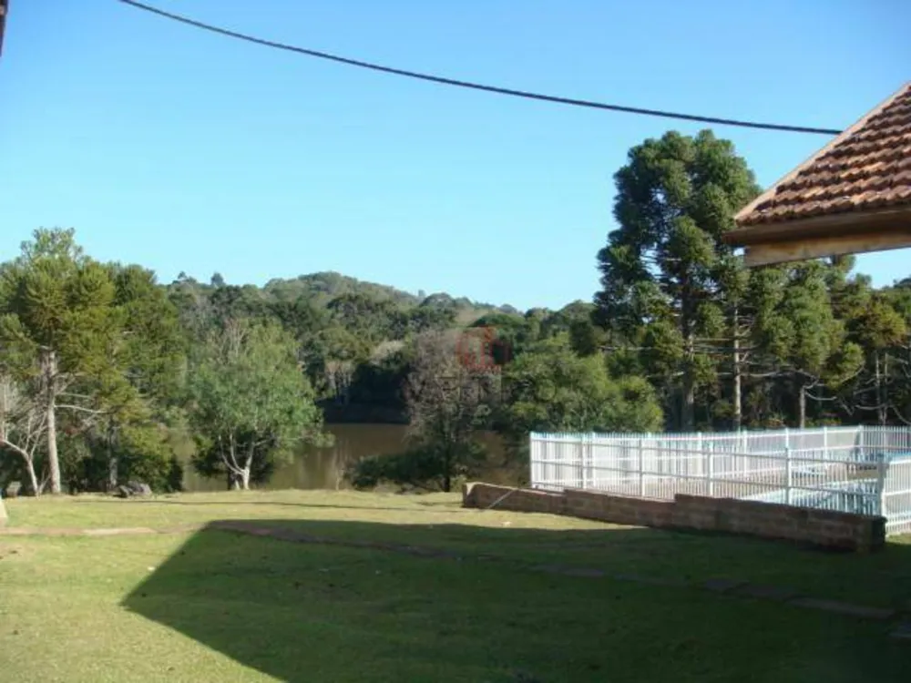 Sítio, 15 hectares - Foto 4