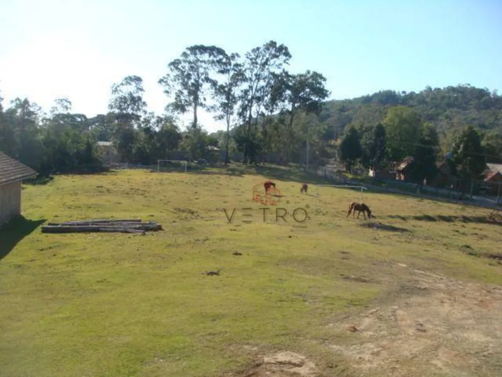 Sítio, 15 hectares - Foto 7