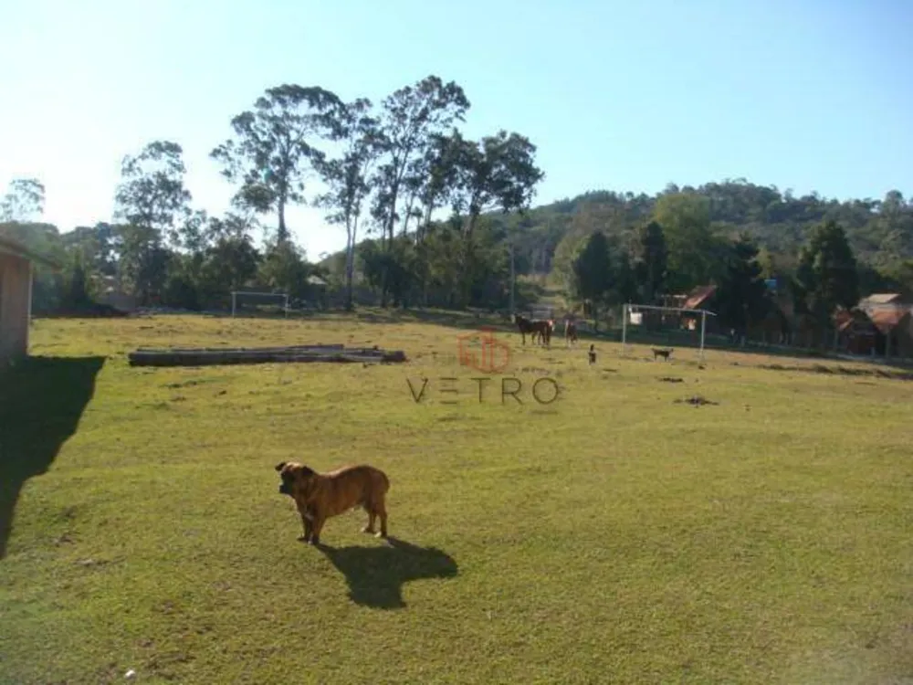 Sítio, 15 hectares - Foto 6