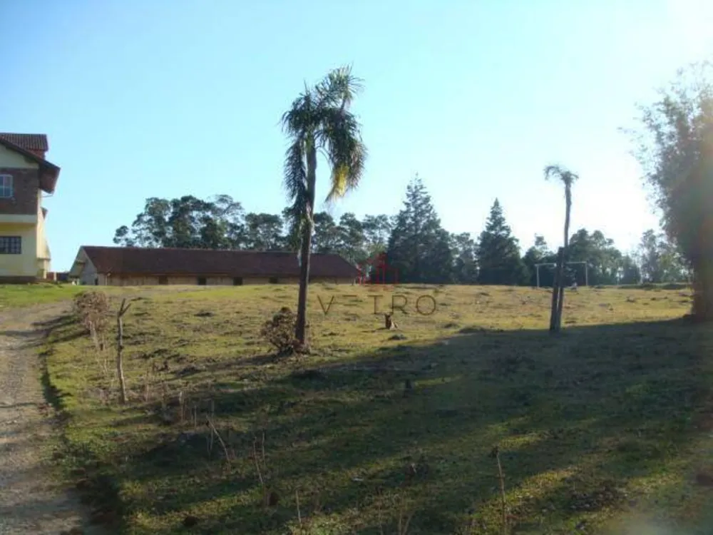 Sítio, 15 hectares - Foto 2