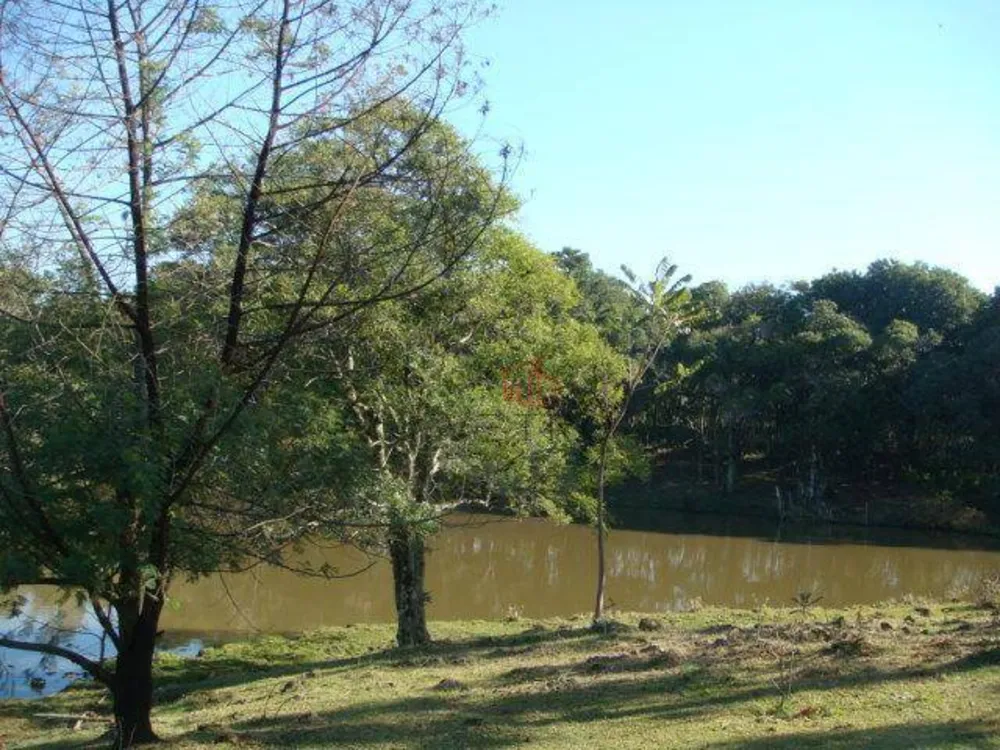 Sítio, 15 hectares - Foto 9