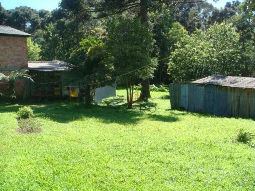 Terreno, 3696 m² - Foto 4