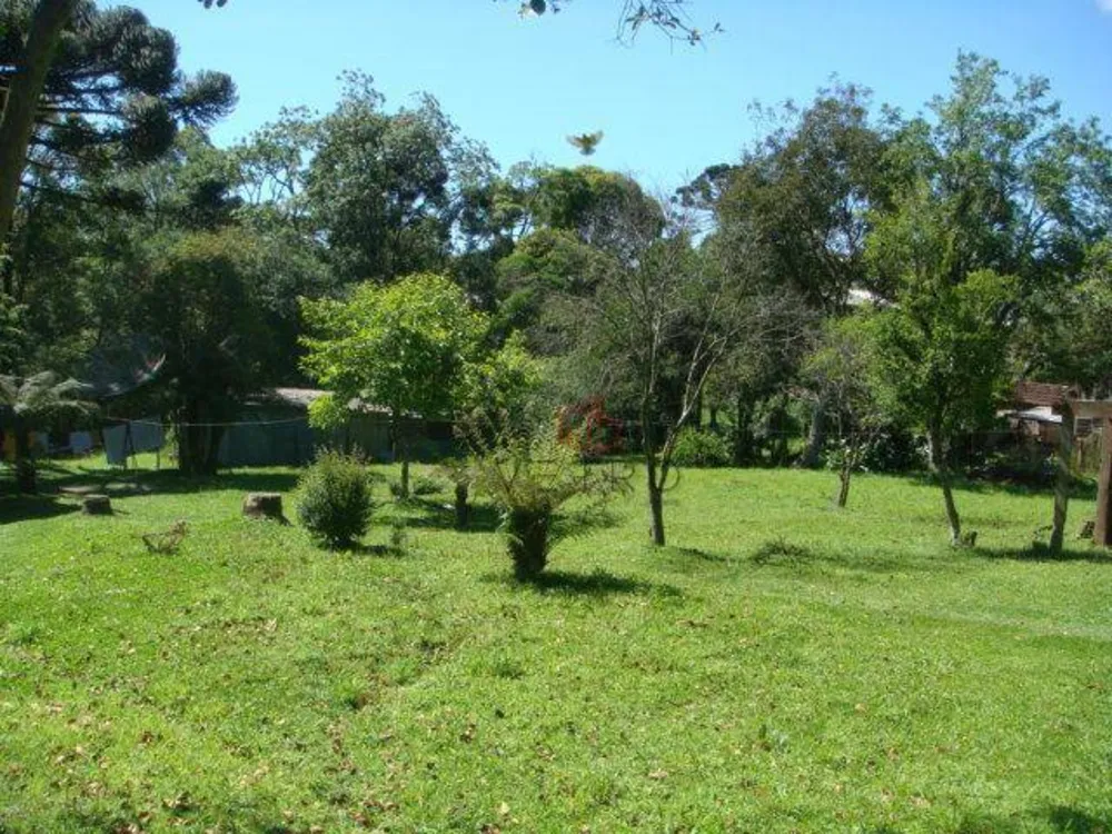 Terreno, 3696 m² - Foto 1