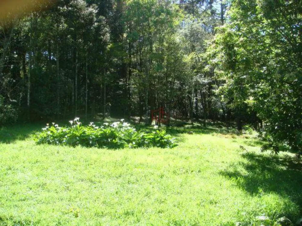 Terreno, 3696 m² - Foto 6
