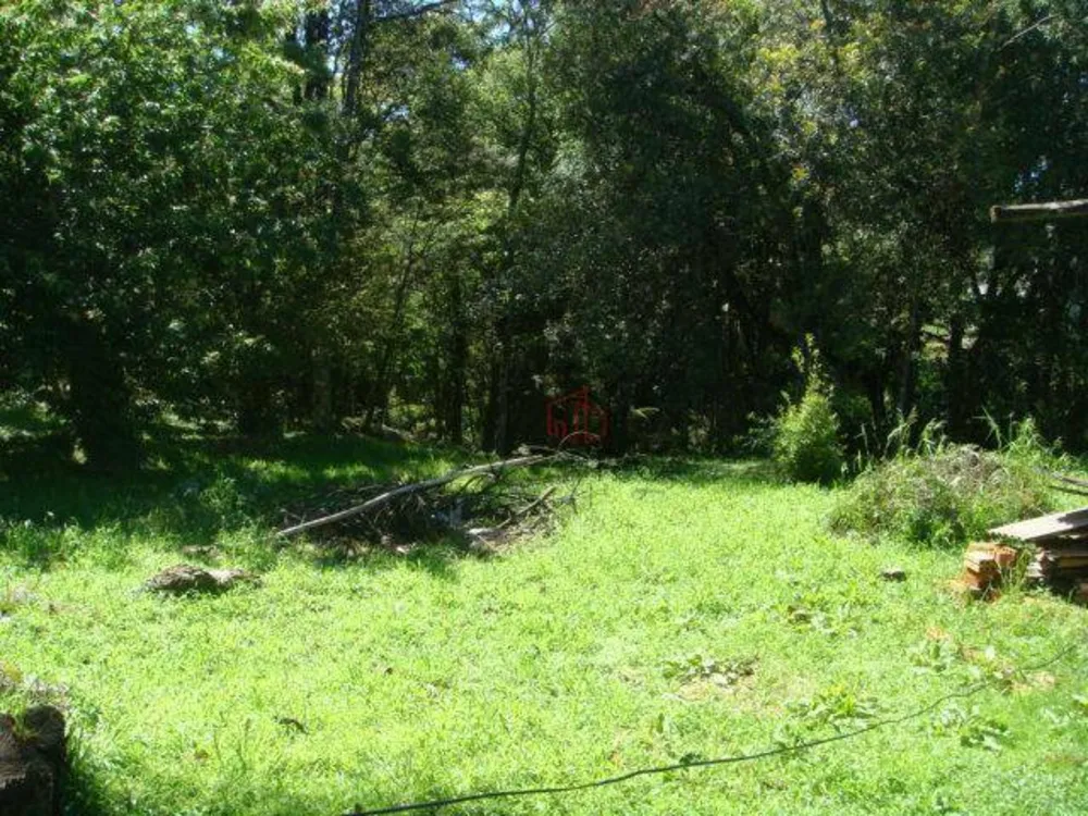 Terreno, 3696 m² - Foto 5