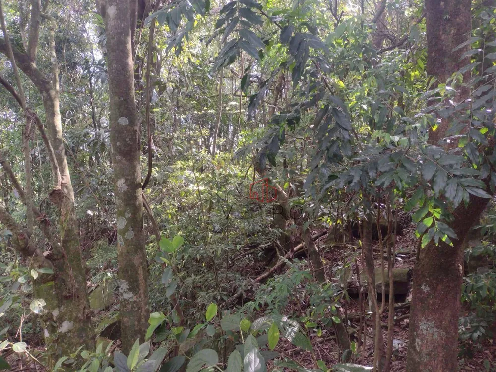 Terreno, 1 hectares - Foto 1